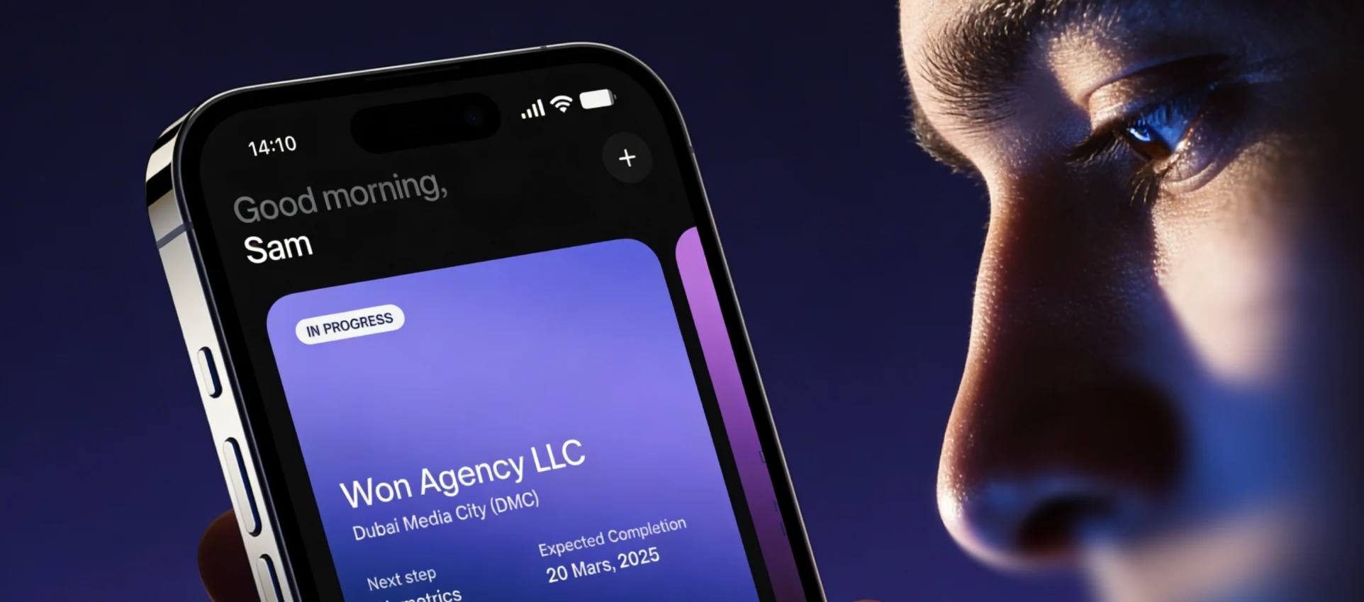 Dubai.new business setup platform interface